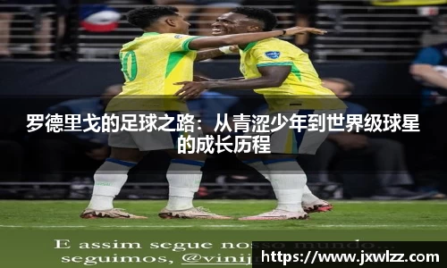 中欧体育